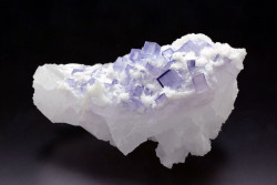 bijoux-et-mineraux: Fluorite - Santa Eulalia, Mexico