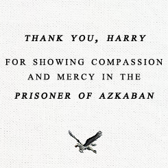  OLLIVANDER’S CHALLENGE;  thank you, harry and a big thank you to j.k. rowling, the woman who brought something special to my childhood.   