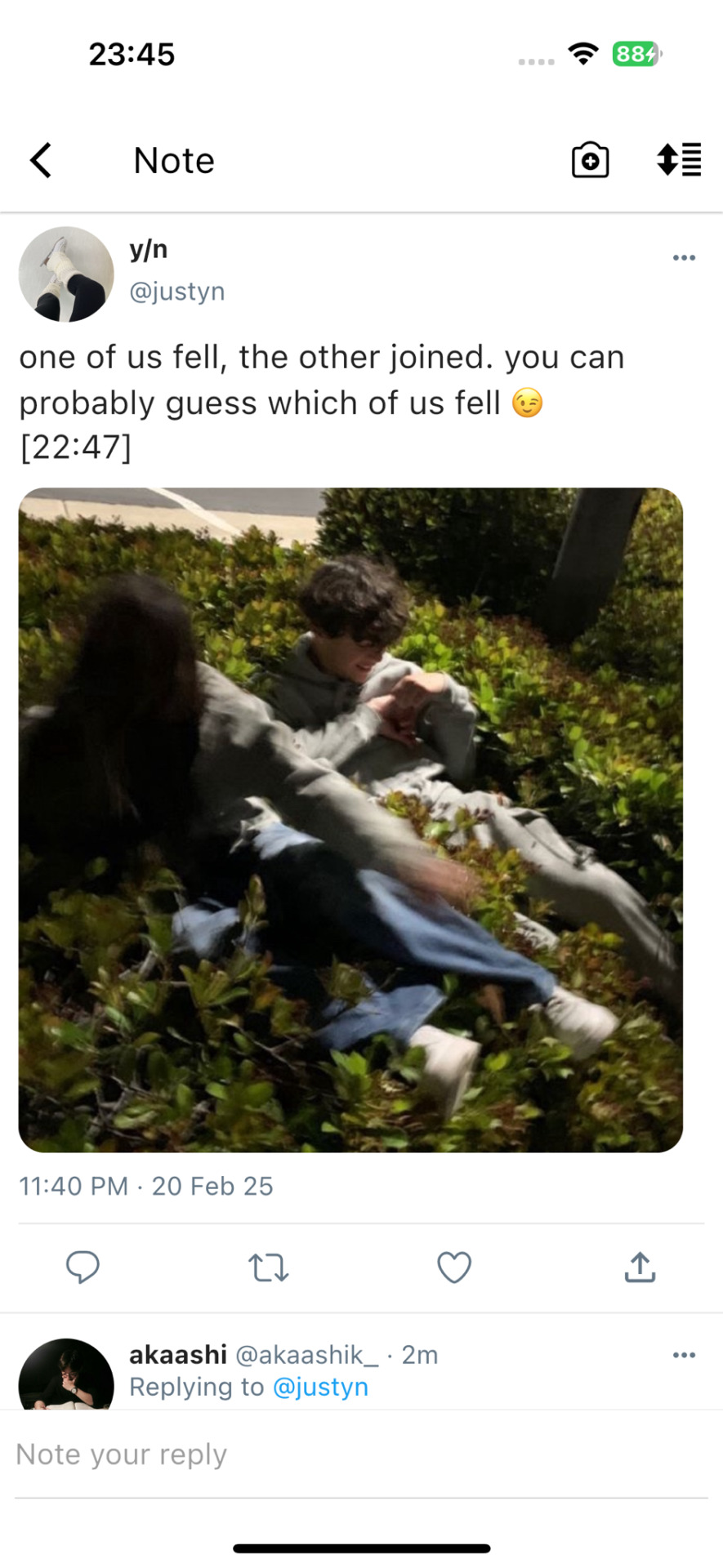 Tumblr media