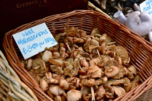 Mushrooms of Borough Market