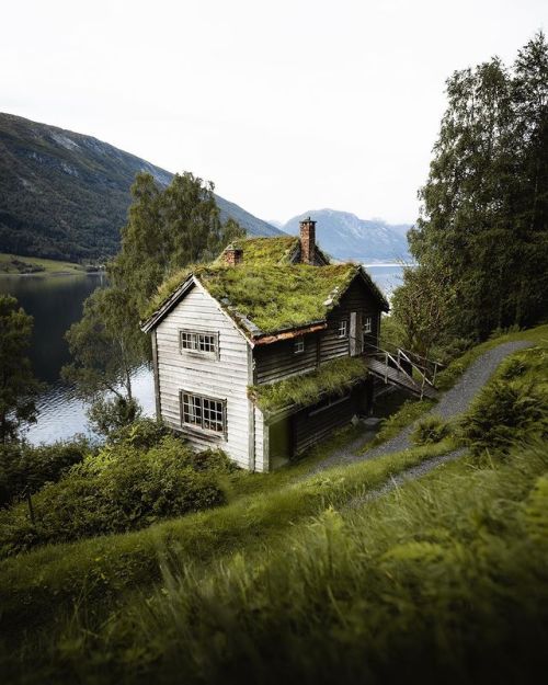 wild-cabins: Danielle Langedal