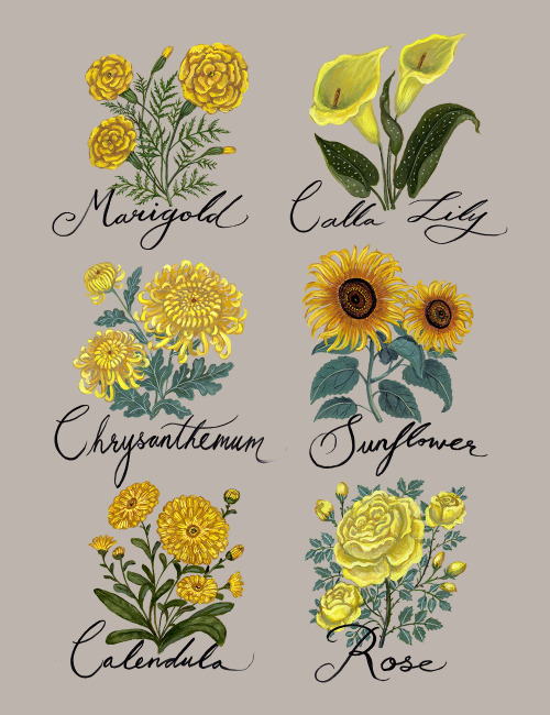 Yellow Flowers Botanicalby Kelly Louise Judd