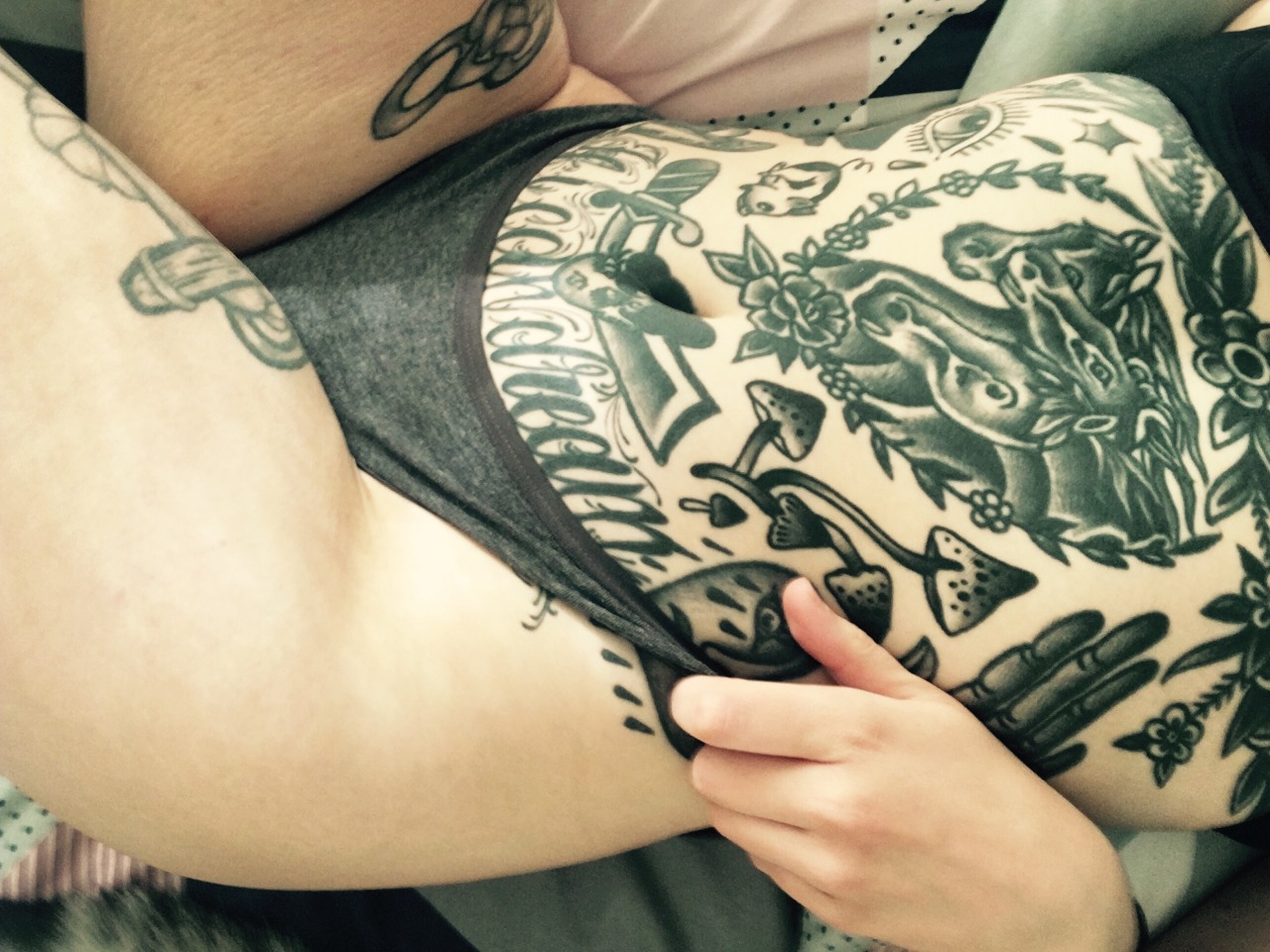 animalsdancing:  I’ve been eating too many cookies lately