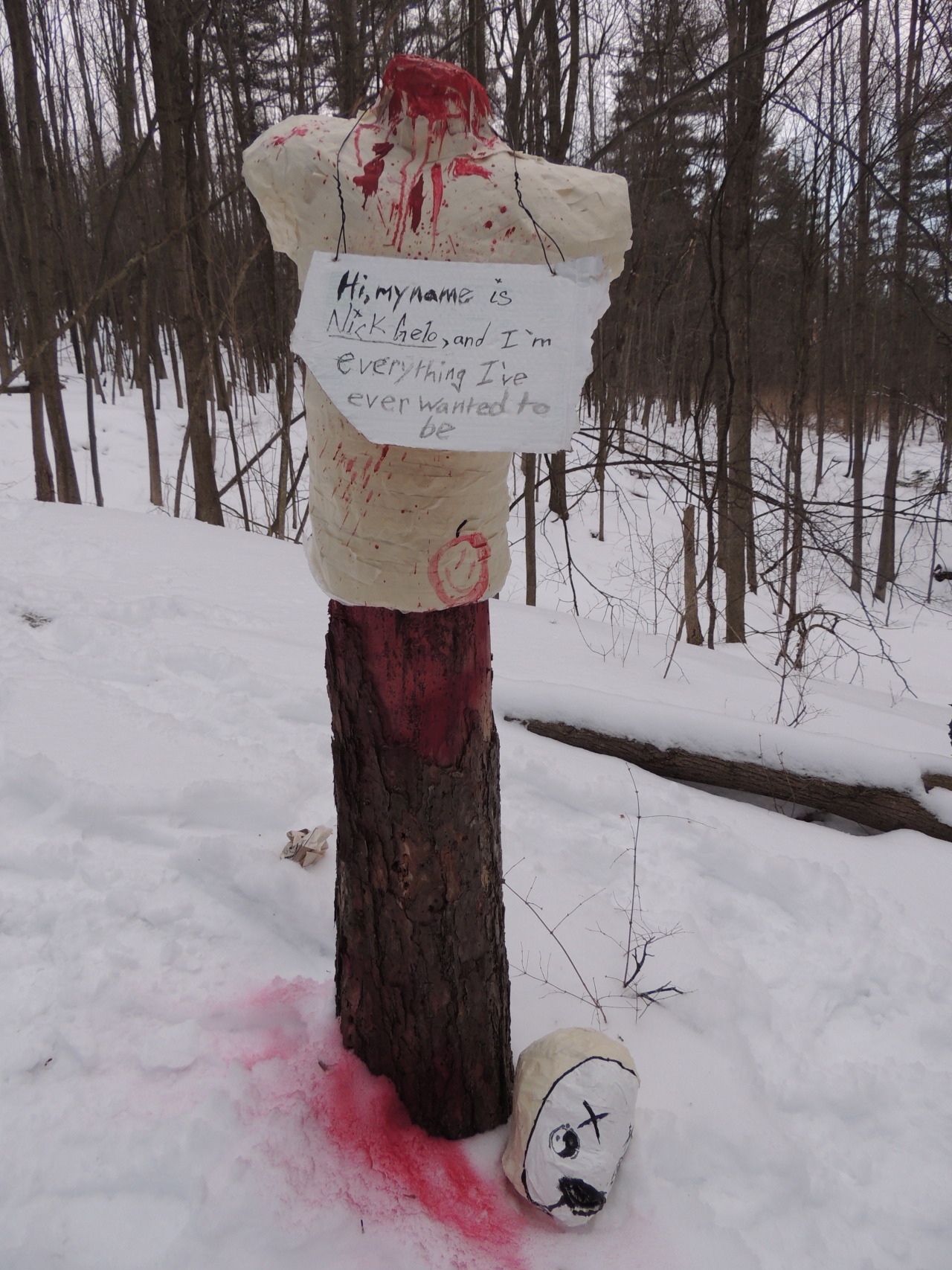 jakthefish:  I found a flash drive in the ice with these images on it labeled “jello