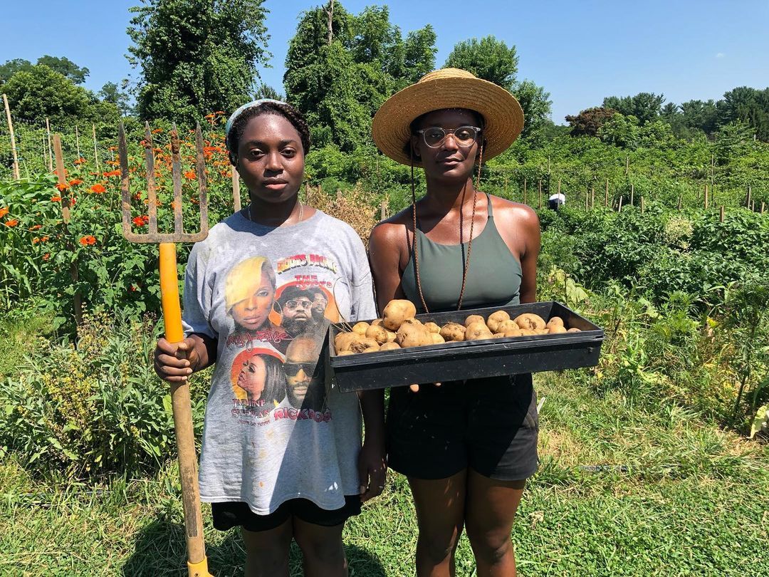 @therealmaryjblige is the meanest part of this American Gothic 😂
Chiamaka and Rocky with their Lumper Potato harvest. It was their first time lifting potatoes! This was the potato of the Great Hunger in Ireland, one that I grow to remember my great...