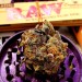 soohighbutsoolow-deactivated202:Beautiful colour on this bud 👽✌