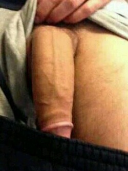 xlbig:  big cock http://xlbigdick.com @xLBigx   .Bulge    