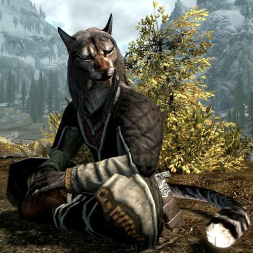 uesp: Did You Know: Without mods or console commands, there are no Bosmer or Khajiit available for m