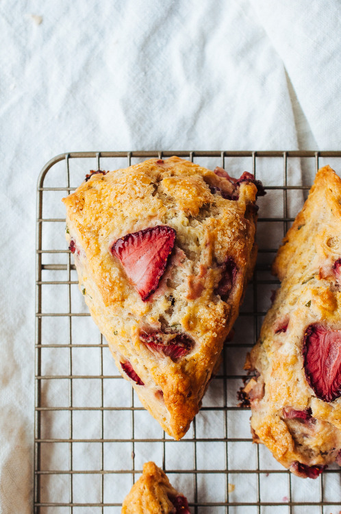 XXX sweetoothgirl:  Strawberry and Mint Scones photo