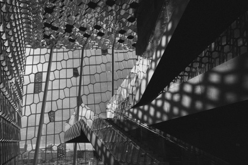 Harpa. Reykjavík, Iceland.