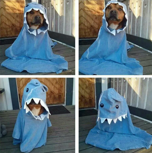 tastefullyoffensive:  “Lol. They will never find me.” [lotssa]