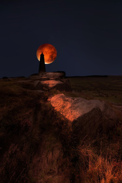 lupitovi:    David Hobcote -   blood moon