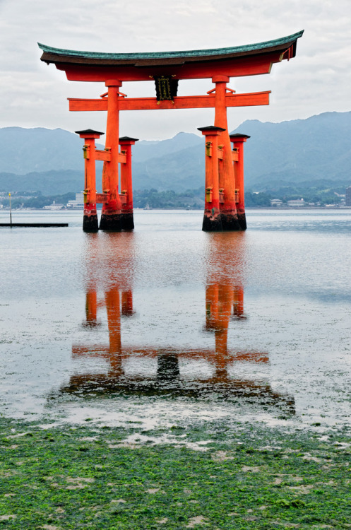 breathtakingdestinations:Itsukushima Shrine - Japan (by brian_ytsu) 