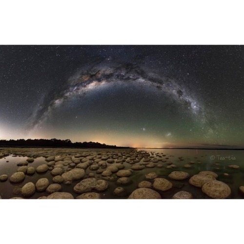 Ancients of Sea and Sky   Image Credit & Copyright: Jingyi Zhang  Explanation: They may look like round rocks, but they’re alive. Moreover, they are modern versions of one of the oldest known forms of life: stromatolites. Fossils indicate that