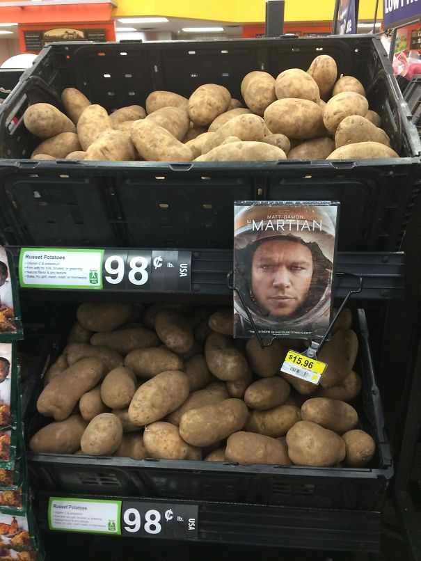 pr1nceshawn:  I like what you did there. 