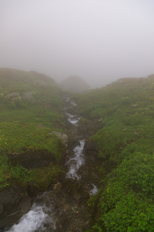  Alpine mountain stream 37/?- Tour de Monte Rosa, July 2021photo by: nature-hiking