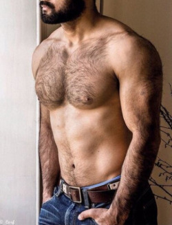 Hairy Men Pix