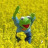 sexuality is confusing so maybe gifs can help