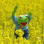 sexuality is confusing so maybe gifs can help