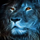 lionwhisperer avatar