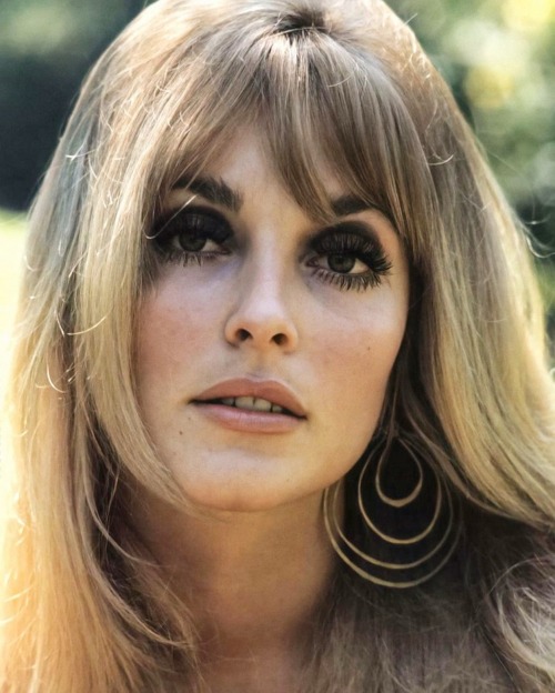 lily-laurent:  Sharon Tate photographed by Orlando Suero, 1966