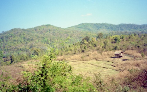 Landscape With Rice Fields, Hang Dong, Chiang Mai, Thailand, 2000.  (ภูมิทัศน์ด้วยทุ่งนา, หางดง, เชี