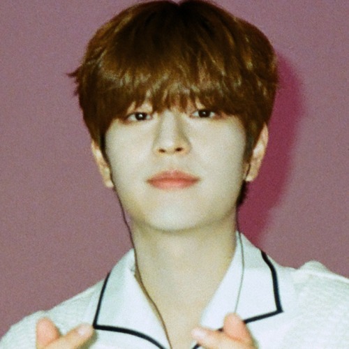 Stray Kids Matching Icons/metadinhas.