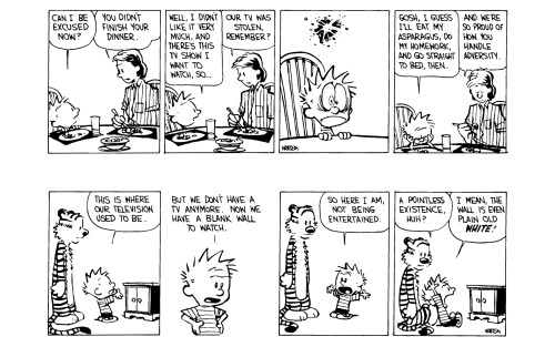 Calvin and Hobbes: the break-in story, Part 2. (Part 1 here.)