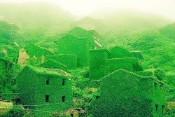 highlandvalley:  ナカムラクニオ（6次元）さんのツイート: “中国浙江省の後頭湾村は、かつては3000人住んでたのに、廃村になり現在1人しか住んでないらしい。ハリーポッターの撮影とかしたらすごく人気でそう。