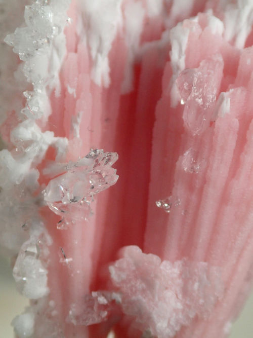 Calcite coated Kutnohorite and Mangano Calcite Sprays - Wessels mine, South Africa