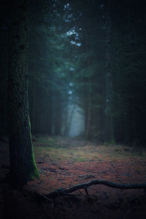 rudolfvlcek:Moody