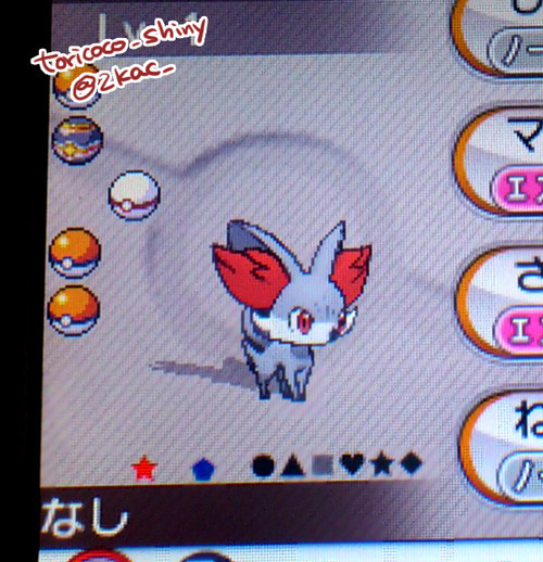 Toricoco Shiny Toricoco Shiny