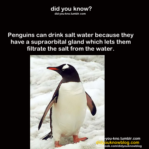 did-you-kno:  Source 