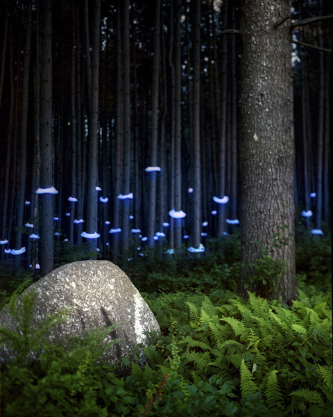 artchipel:  Barry Underwood (b.1963, USA) Artist Barry Underwood documents full-scale installations he builds on-site in the landscape. Curiosity about ecological and social history of specific places drives his work. By revealing the beauty and potential