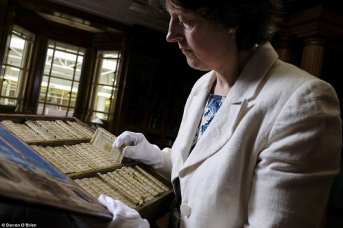 Bookshelves I Have Longed For #172:An early-17th-century travelling library housed in a large book ,