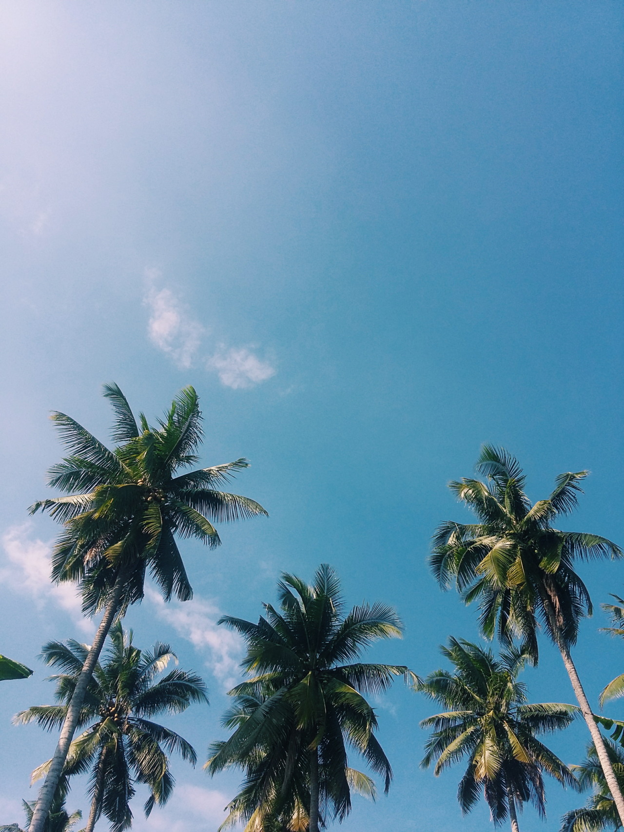jmsarian:Summer feels.