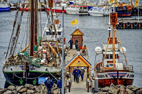 Walbeobachtung Husavik