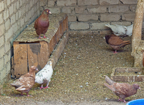 May 12 2011. A zoo in Zaporizhia city.