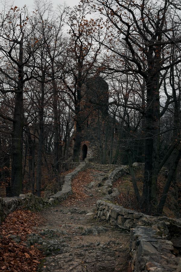 carnivalgraveyards:Walbrzych, Poland. 