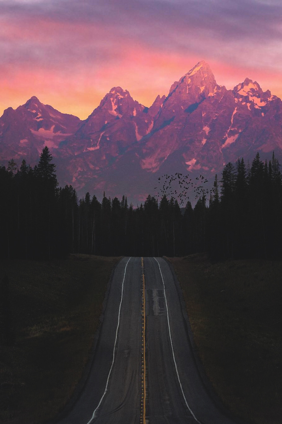 lsleofskye:  Early light bustle | eye.of.ty