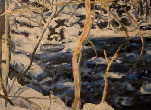 Chittenango Falls