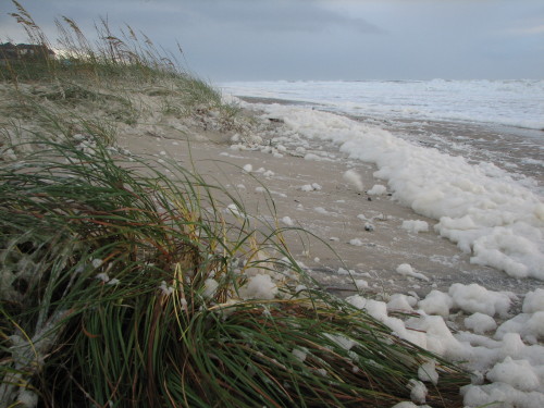 strandedonthemainland: hatteras-island-girl