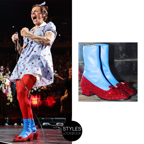 For night one of Harryween, Harry dressed up as Dorothy from The Wizard of Oz. His costume included 