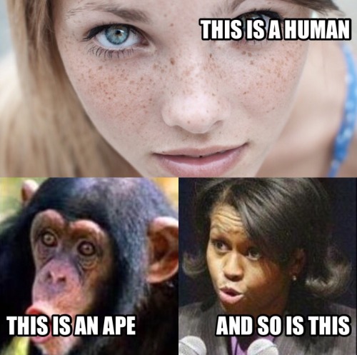 tomi-lahren:  The white race has evolved into a higher species. We must accept our place at the feet of the white race and worship them.