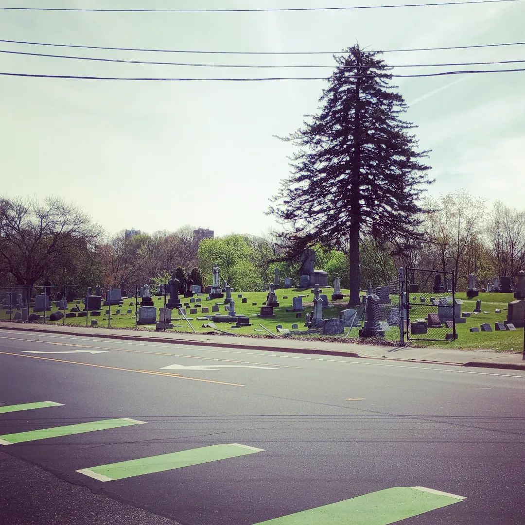 119/366 ✨ someone ran into the cemetery fence #instagram #akron #spring #picaday2024