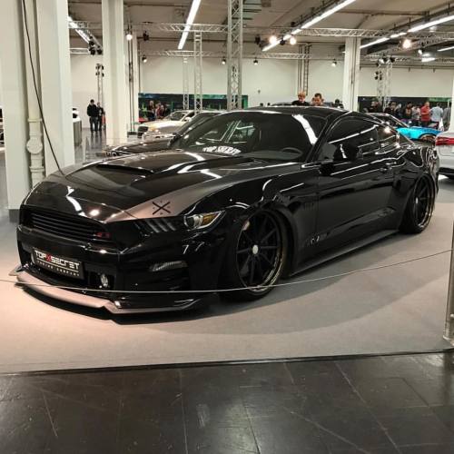 musclefords:  #ford#Mustang#SVT tag–> #American_muscle_mustangs / via @diego_vossen / damn 💎