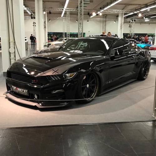 Porn Pics musclefords:  #ford#Mustang#SVT tag–>