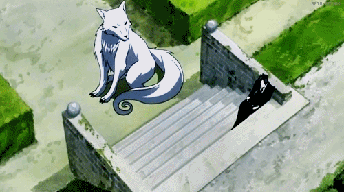 asmasama:  >wwww<