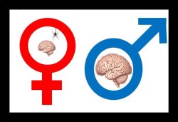 lovinghumiliationcunts: bethback: Men are so much better than cunts. Truthfully? A cunt’s brain is probably even tinier than that. we need to think with our pussies. Pussies crave cock. It is our only purpose. The average female brain is 2.7 pounds.