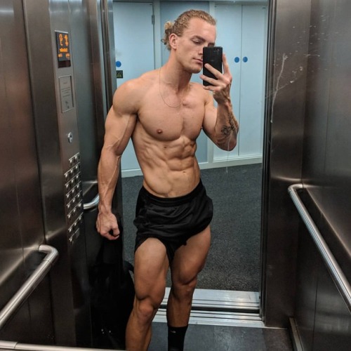   JOE DELANEY @Shredbundy  